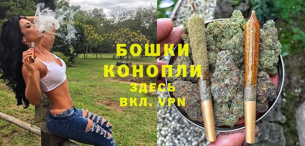 spice Балахна