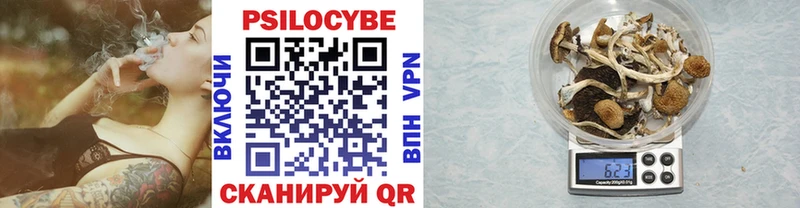 Галлюциногенные грибы GOLDEN TEACHER  Бежецк 